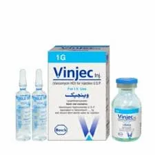vinjec 1 gm
