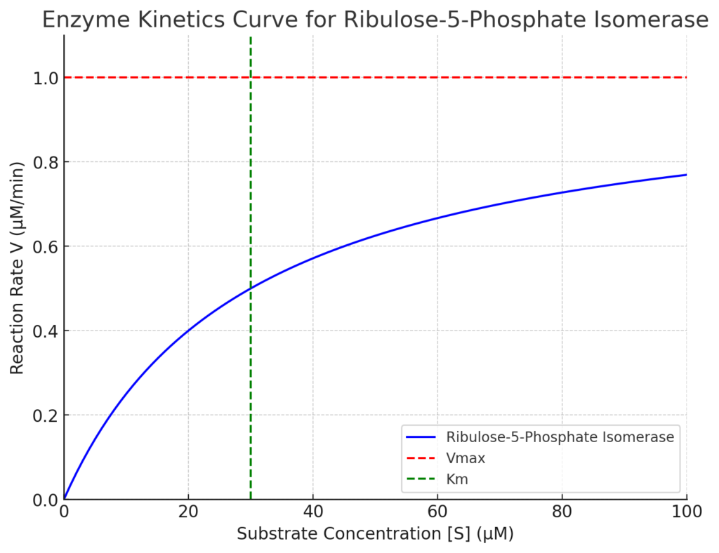 Enzyme Kinetics of Ribulose 5 Phosphate Isomerase,Enzyme kinetics curve for ribulose 5 phosphate isomerase, showing how the reaction rate increases with substrate concentration., or relation of enzyme kinetics with ribulose-5 phosphate isomerase