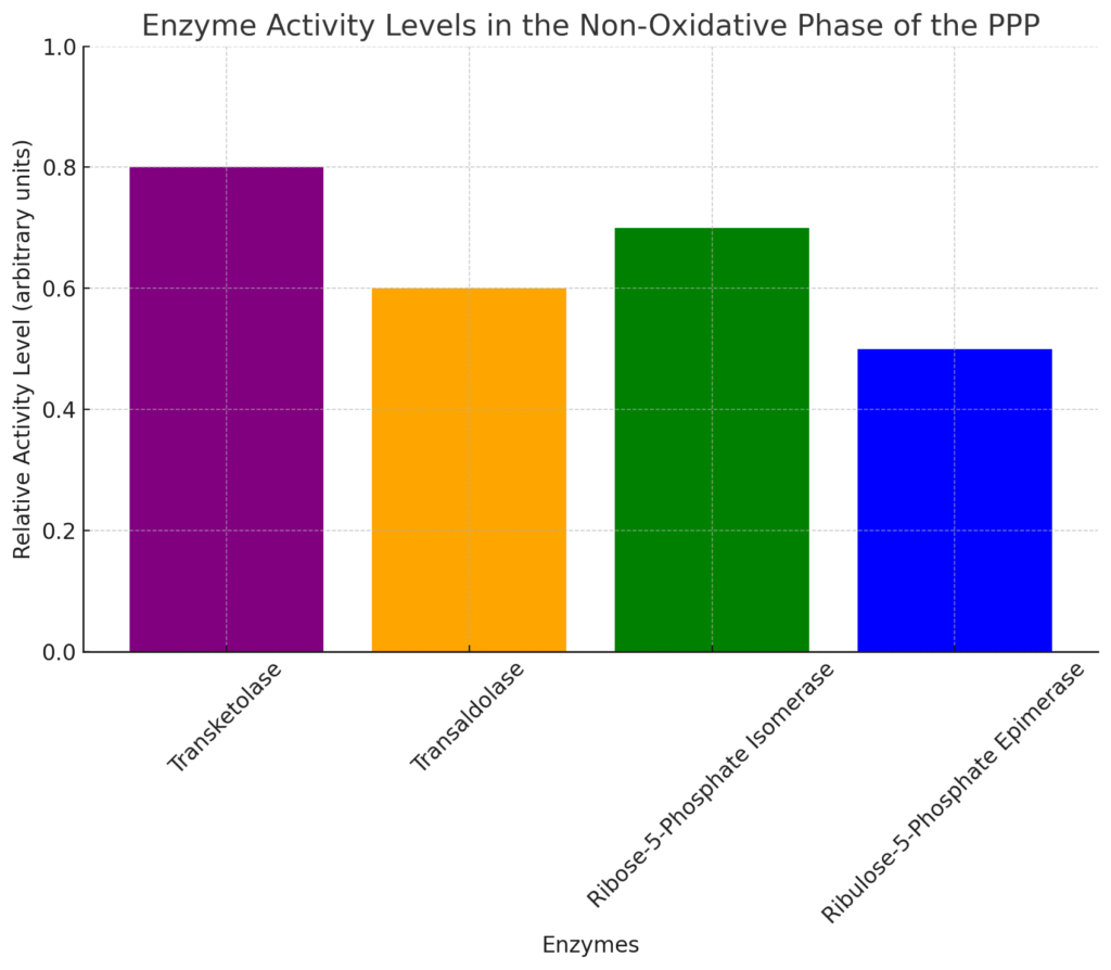 Enzyme activity levels in the non-oxidative phase of the pentose phosphate pathway (PPP)